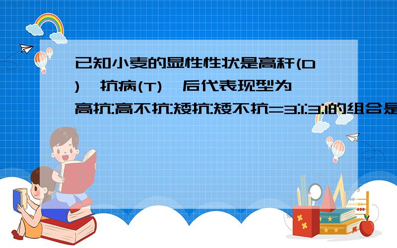 已知小麦的显性性状是高秆(D),抗病(T),后代表现型为高抗:高不抗:矮抗:矮不抗=3:1:3:1的组合是DdTt和ddTt的原因