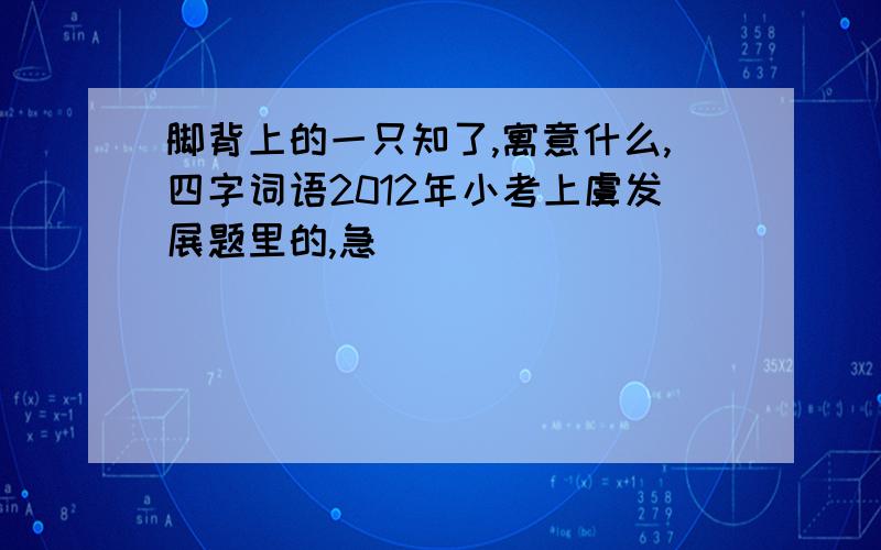 脚背上的一只知了,寓意什么,四字词语2012年小考上虞发展题里的,急