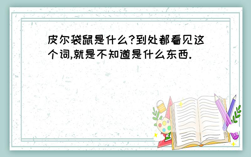 皮尔袋鼠是什么?到处都看见这个词,就是不知道是什么东西.