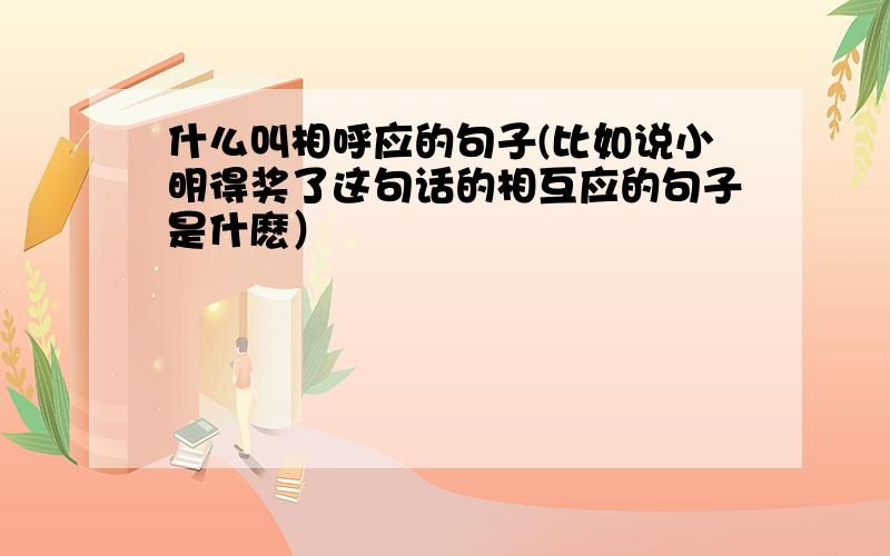 什么叫相呼应的句子(比如说小明得奖了这句话的相互应的句子是什麽）