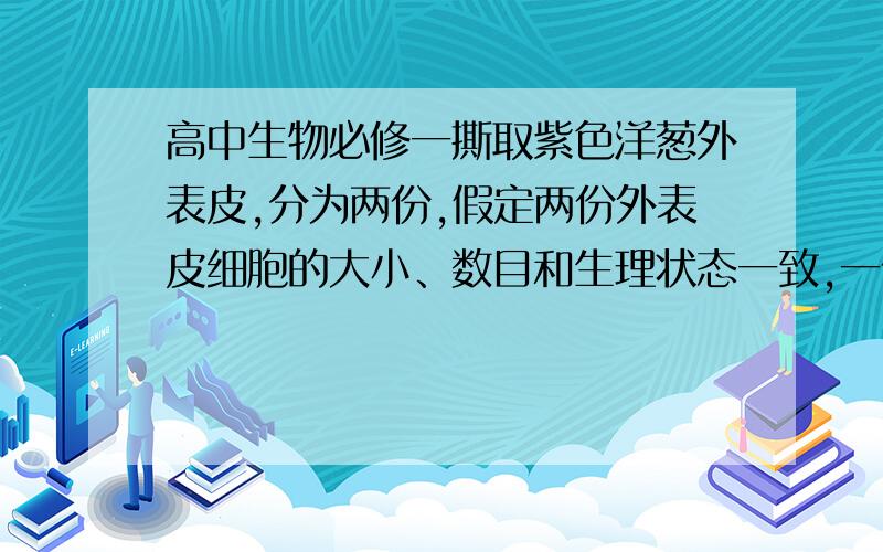 高中生物必修一撕取紫色洋葱外表皮,分为两份,假定两份外表皮细胞的大小、数目和生理状态一致,一份在完全营养液中浸泡一段时间,浸泡后的外表皮称为甲组；另一份在蒸馏水中浸泡相同的