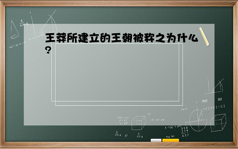 王莽所建立的王朝被称之为什么?