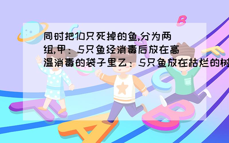 同时把10只死掉的鱼,分为两组,甲：5只鱼经消毒后放在高温消毒的袋子里乙：5只鱼放在枯烂的树下面.（1）那个是对照组,那个是实验组?（2）为什么都是5只,为什么都是同时死掉?请回答（2）