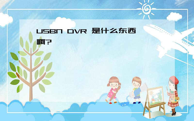 USBN DVR 是什么东西啊?