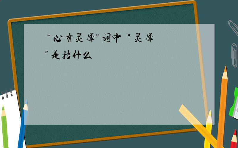 “ 心有灵犀”词中 “ 灵犀”是指什么