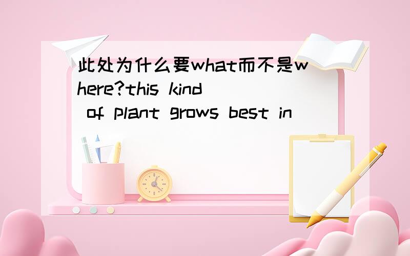 此处为什么要what而不是where?this kind of plant grows best in ______ is warm