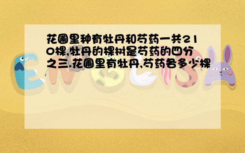 花圃里种有牡丹和芍药一共210棵,牡丹的棵树是芍药的四分之三.花圃里有牡丹,芍药各多少棵