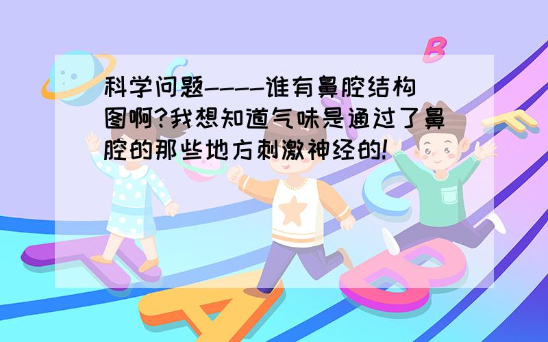 科学问题----谁有鼻腔结构图啊?我想知道气味是通过了鼻腔的那些地方刺激神经的!