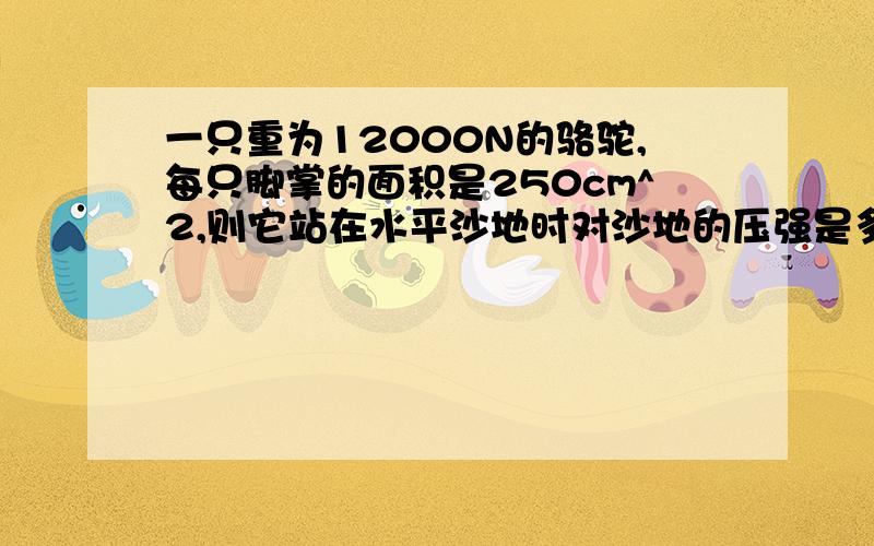 一只重为12000N的骆驼,每只脚掌的面积是250cm^2,则它站在水平沙地时对沙地的压强是多少pa?