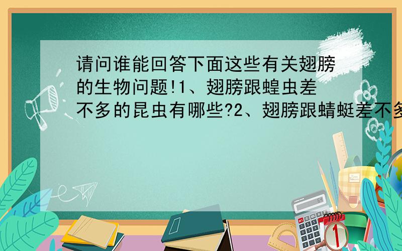 请问谁能回答下面这些有关翅膀的生物问题!1、翅膀跟蝗虫差不多的昆虫有哪些?2、翅膀跟蜻蜓差不多的昆虫有哪些?3、翅膀跟金龟子差不多的昆虫有哪些?4、翅膀跟蝴蝶差不多的昆虫有哪些?5