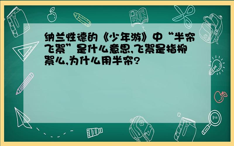 纳兰性德的《少年游》中“半帘飞絮”是什么意思,飞絮是指柳絮么,为什么用半帘?