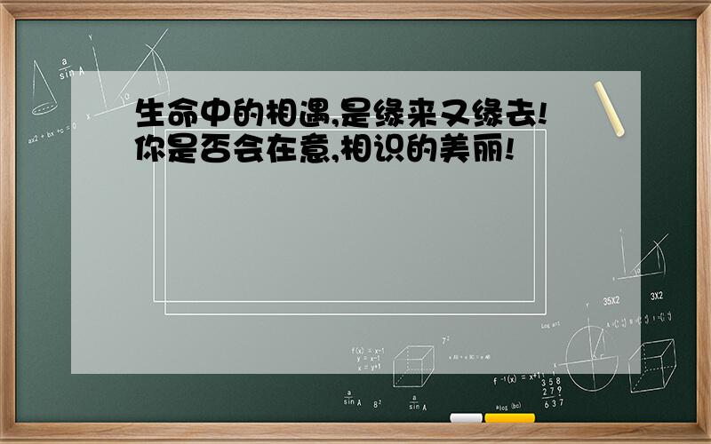 生命中的相遇,是缘来又缘去!你是否会在意,相识的美丽!