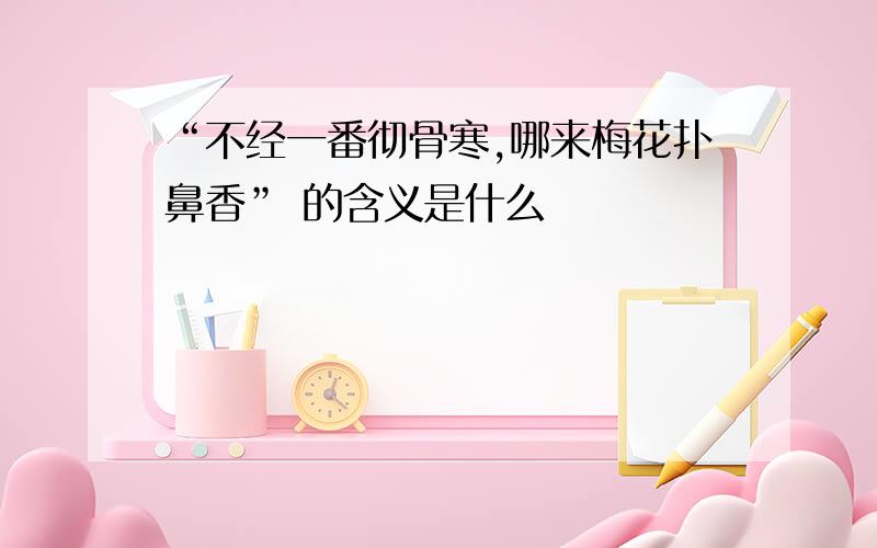 “不经一番彻骨寒,哪来梅花扑鼻香” 的含义是什么