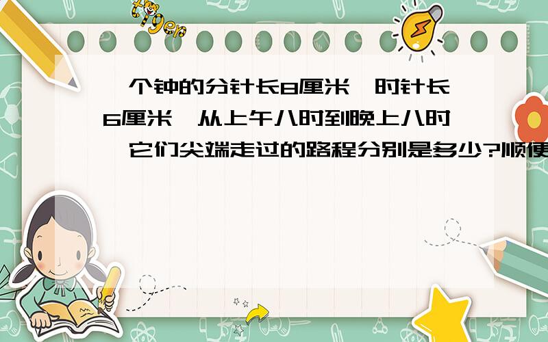 一个钟的分针长8厘米,时针长6厘米,从上午八时到晚上八时,它们尖端走过的路程分别是多少?顺便说一下为什么这么做?谁说好了，吾有赏哦~