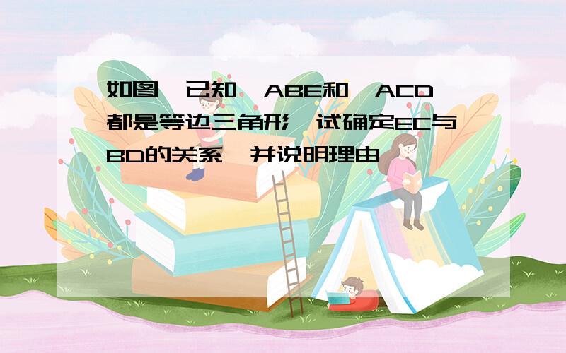 如图,已知△ABE和△ACD都是等边三角形,试确定EC与BD的关系,并说明理由