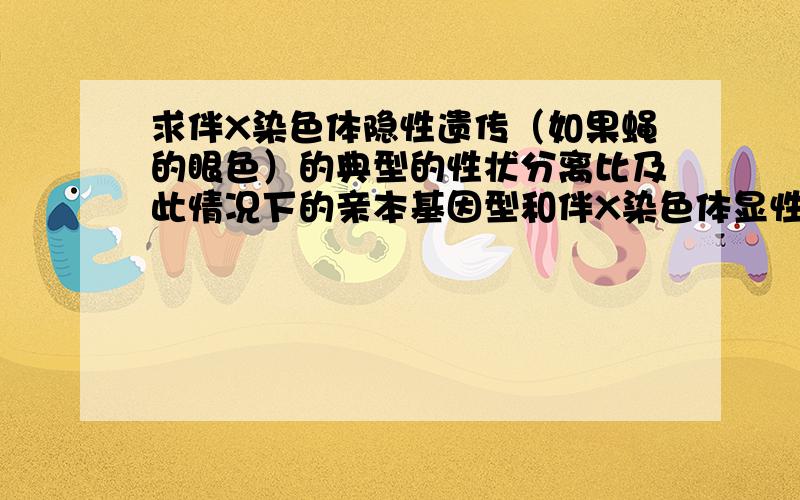 求伴X染色体隐性遗传（如果蝇的眼色）的典型的性状分离比及此情况下的亲本基因型和伴X染色体显性遗传 的典型的性状分离比及此情况下的亲本基因型