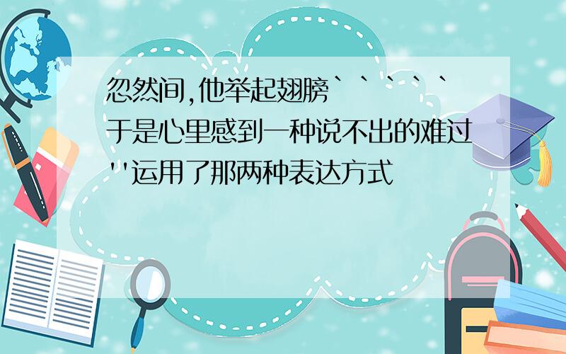 忽然间,他举起翅膀`````于是心里感到一种说不出的难过''运用了那两种表达方式