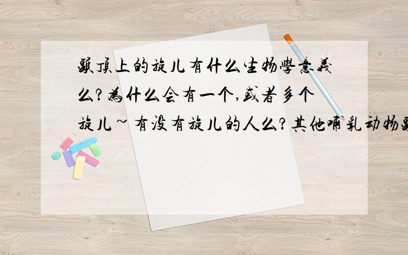 头顶上的旋儿有什么生物学意义么?为什么会有一个,或者多个旋儿~有没有旋儿的人么?其他哺乳动物头顶也有旋儿么?