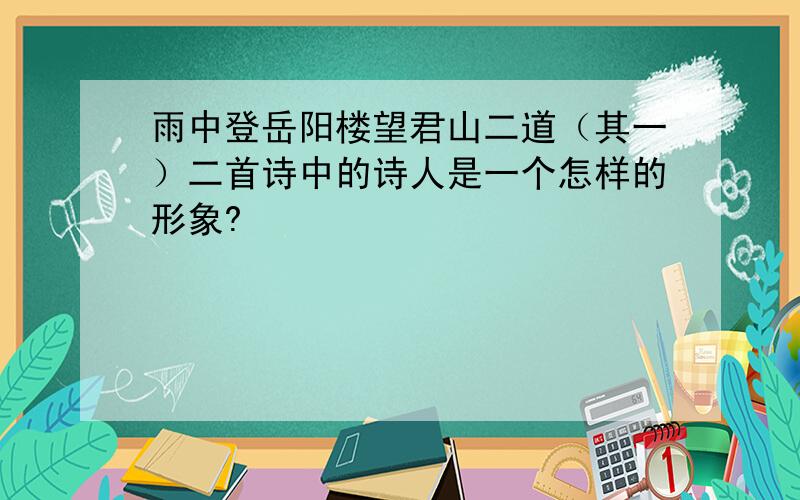 雨中登岳阳楼望君山二道（其一）二首诗中的诗人是一个怎样的形象?