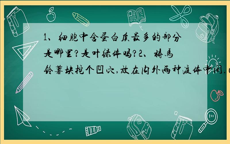 1、细胞中含蛋白质最多的部分是哪里?是叶绿体吗?2、将马铃薯块挖个凹穴,放在内外两种液体中间.已知一种是清水,一种是0.3g/mL的蔗糖溶液.开始时,两个液面是平的,过了一段时间后液面如图.