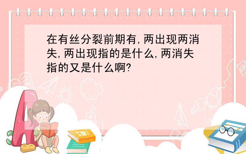 在有丝分裂前期有,两出现两消失,两出现指的是什么,两消失指的又是什么啊?