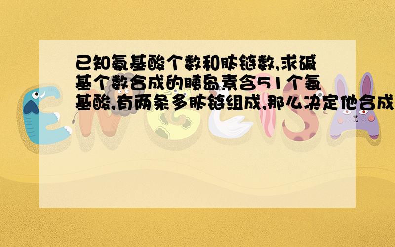 已知氨基酸个数和肽链数,求碱基个数合成的胰岛素含51个氨基酸,有两条多肽链组成,那么决定他合成的基因中至少应含有碱基（ ）个.若氨基酸的平均相对分子质量为90,则该胰岛素的相对分子