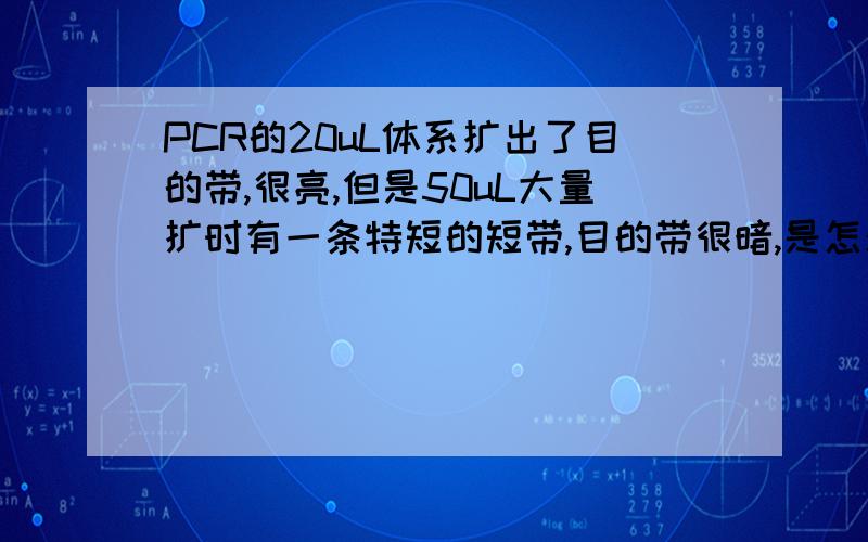 PCR的20uL体系扩出了目的带,很亮,但是50uL大量扩时有一条特短的短带,目的带很暗,是怎么回事