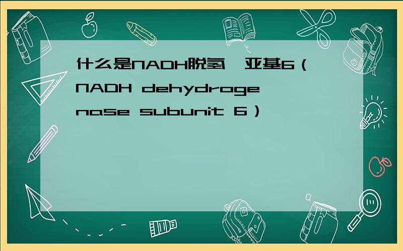 什么是NADH脱氢酶亚基6（NADH dehydrogenase subunit 6）