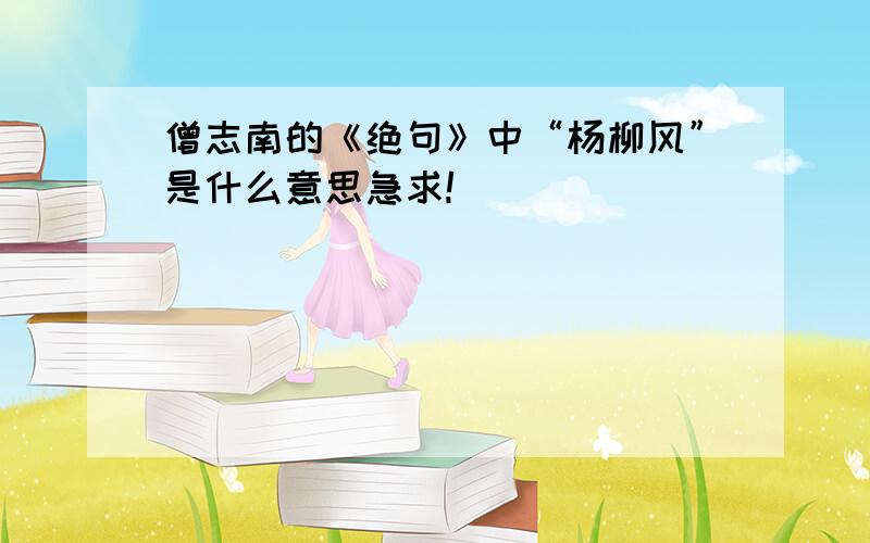 僧志南的《绝句》中“杨柳风”是什么意思急求!