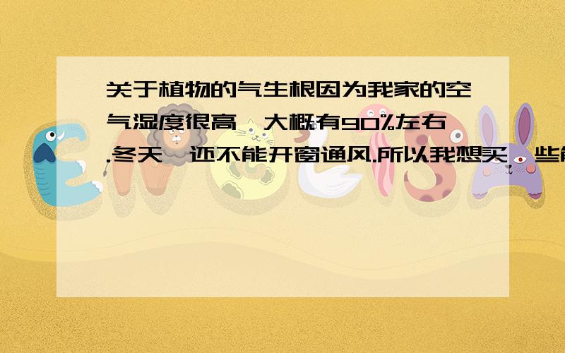 关于植物的气生根因为我家的空气湿度很高,大概有90%左右.冬天,还不能开窗通风.所以我想买一些能够自动吸收空气中水分的植物.请问是否所有气生根植物都能吸收空气中的水分?还是只有少