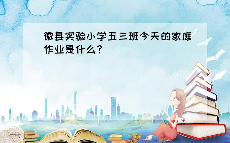 徽县实验小学五三班今天的家庭作业是什么?