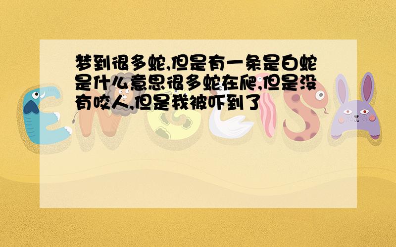 梦到很多蛇,但是有一条是白蛇是什么意思很多蛇在爬,但是没有咬人,但是我被吓到了