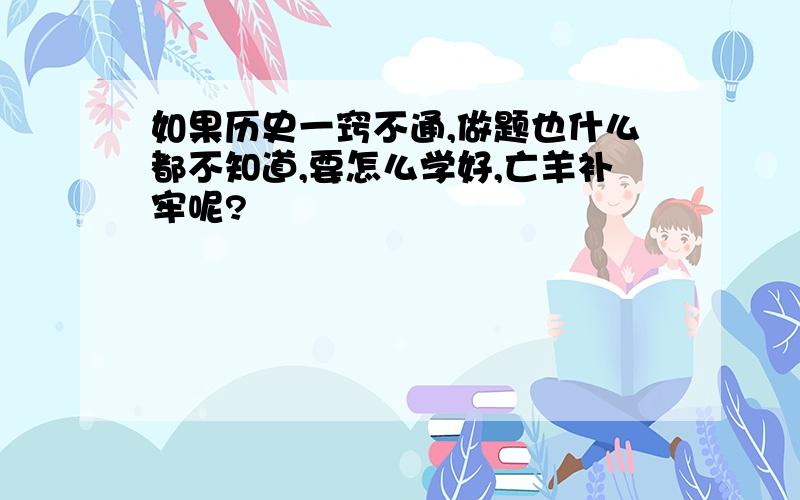 如果历史一窍不通,做题也什么都不知道,要怎么学好,亡羊补牢呢?