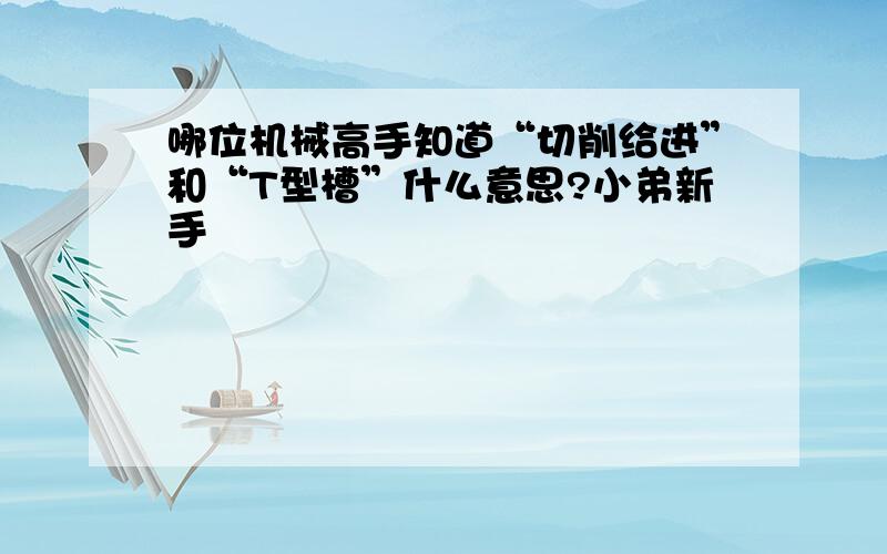 哪位机械高手知道“切削给进”和“T型槽”什么意思?小弟新手