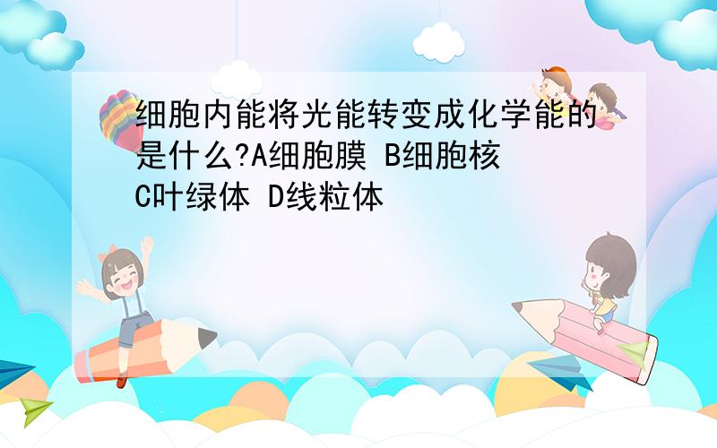 细胞内能将光能转变成化学能的是什么?A细胞膜 B细胞核 C叶绿体 D线粒体