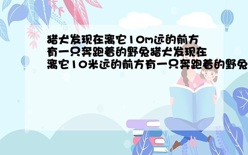 猎犬发现在离它10m远的前方有一只奔跑着的野兔猎犬发现在离它10米远的前方有一只奔跑着的野兔,马上赶紧追上去,猎犬的步子大,它跑5步的路程兔子要跑9步,但是兔子的动作快,猎犬跑2步的时