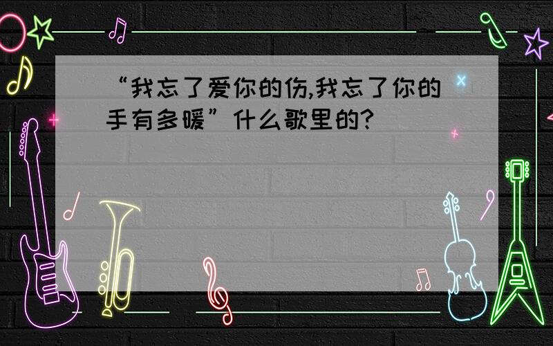 “我忘了爱你的伤,我忘了你的手有多暖”什么歌里的?