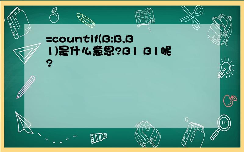 =countif(B:B,B1)是什么意思?B1 B1呢?