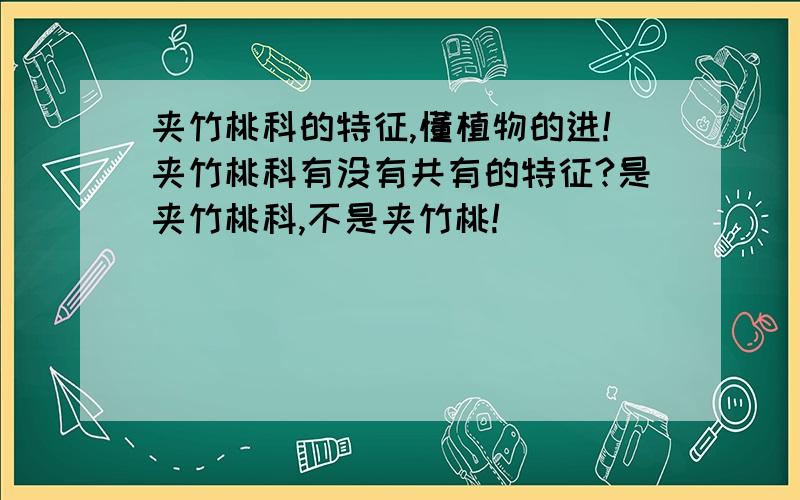 夹竹桃科的特征,懂植物的进!夹竹桃科有没有共有的特征?是夹竹桃科,不是夹竹桃!