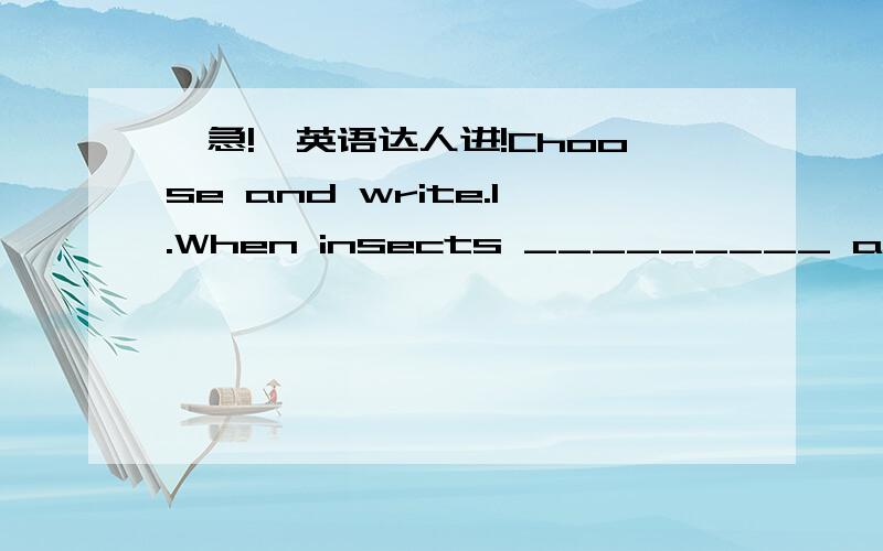 【急!】英语达人进!Choose and write.1.When insects _________ a tree,it may die.(crash/attack)2.My parents give me ________ to choose my own friends.(free/freedom)3.They decided to leave ________.(immediately/sudden)4.It is not polite to ______