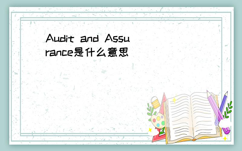 Audit and Assurance是什么意思