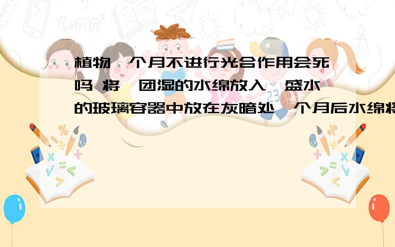 植物一个月不进行光合作用会死吗 将一团湿的水绵放入一盛水的玻璃容器中放在灰暗处一个月后水绵将 A全部死亡 B正常生长