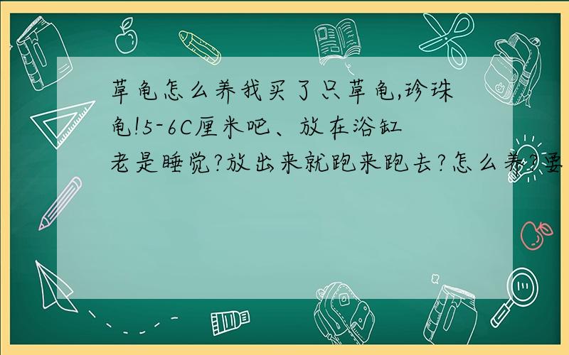 草龟怎么养我买了只草龟,珍珠龟!5-6C厘米吧、放在浴缸老是睡觉?放出来就跑来跑去?怎么养?要不要放在水里养啊、复制的不要来、