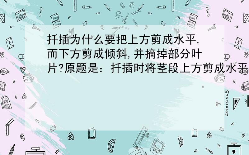 扦插为什么要把上方剪成水平,而下方剪成倾斜,并摘掉部分叶片?原题是：扦插时将茎段上方剪成水平其目的是————,下端剪成倾斜,其目的是————,并且摘除部分叶片,其目的是————