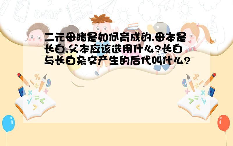 二元母猪是如何育成的.母本是长白,父本应该选用什么?长白与长白杂交产生的后代叫什么?