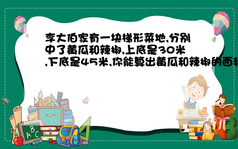 李大伯家有一块梯形菜地,分别中了黄瓜和辣椒,上底是30米,下底是45米,你能算出黄瓜和辣椒的面积?