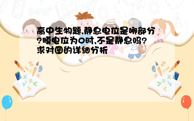 高中生物题,静息电位是哪部分?膜电位为0时,不是静息吗?求对图的详细分析