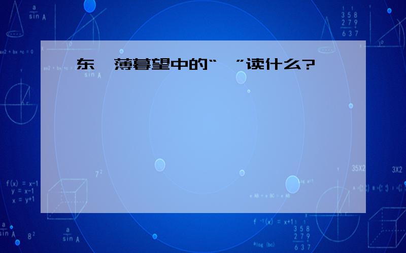 东皋薄暮望中的“皋”读什么?