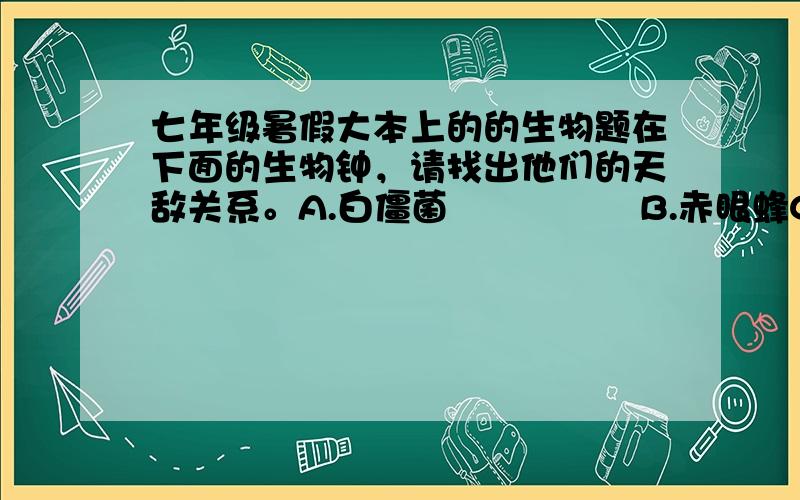 七年级暑假大本上的的生物题在下面的生物钟，请找出他们的天敌关系。A.白僵菌                B.赤眼蜂C.杀螟杆菌              D.七星瓢虫E.三化螟                F.松毛虫G.棉蚜                  H.玉米