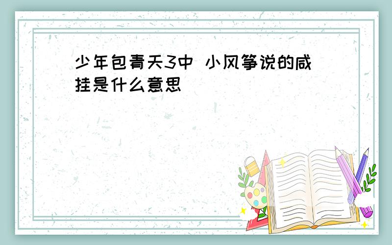 少年包青天3中 小风筝说的咸挂是什么意思